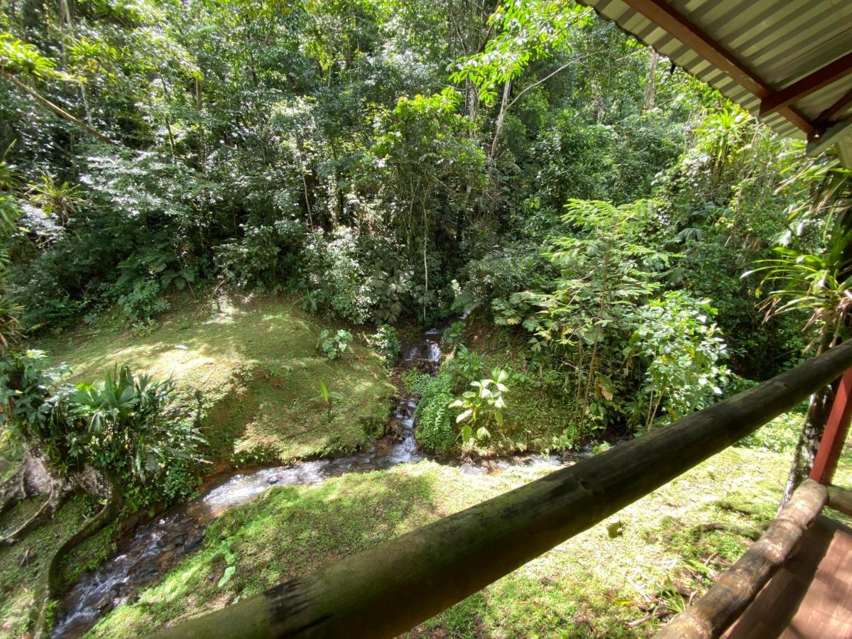 Esquipulas Rainforest Quepos Extérieur photo