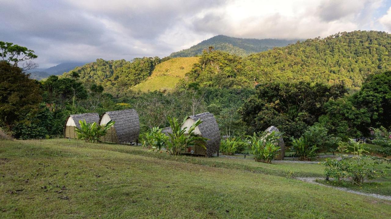 Esquipulas Rainforest Quepos Extérieur photo